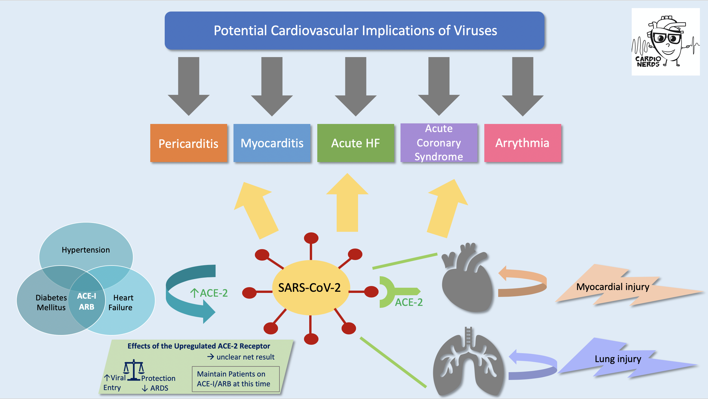 183. Cardio-Obstetrics: The Fourth Trimester: Postpartum and Long