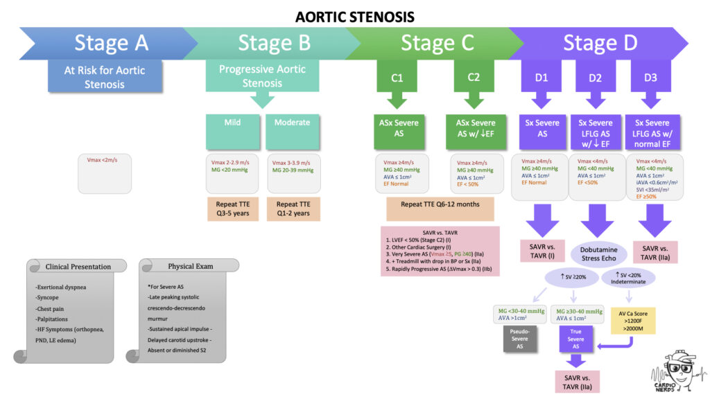 1. Aortic Stenosis: Case Discussion - Cardionerds