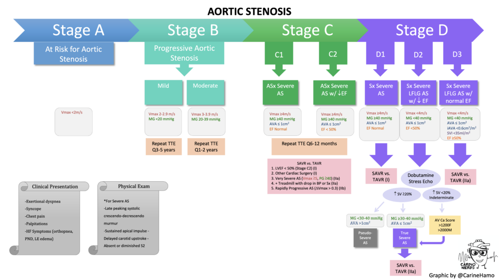 aortic-stenosis-a-practical-approach-presented-by-the-cardionerds