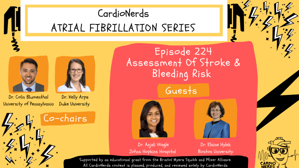 224. Atrial Fibrillation: Assessment of Stroke & Bleeding Risk with Dr. Elaine Hylek