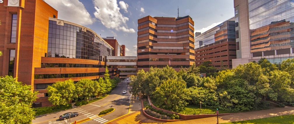 Vanderbilt University Medical Center Cardiovascular Medicine - Cardionerds